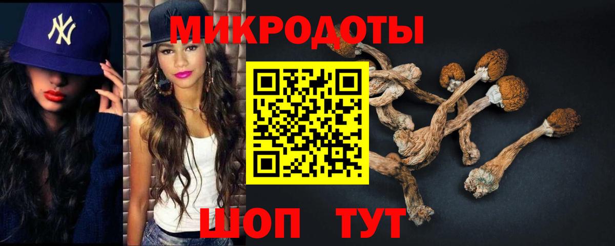 Галлюциногенные грибы MAGIC MUSHROOMS  закладка  Светлоград  Псилоцибиновые грибы Psilocybine cubensis  Вход с VPN 